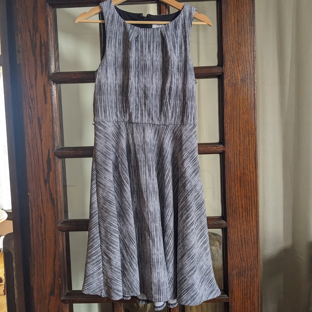Sleeveless Black & White Striped Fit-and-Flare Dress